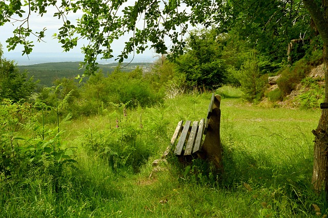 无疑让曼城 无疑让曼城