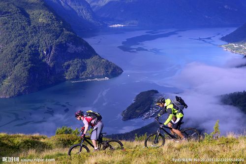 可能会吸引 可能会吸引