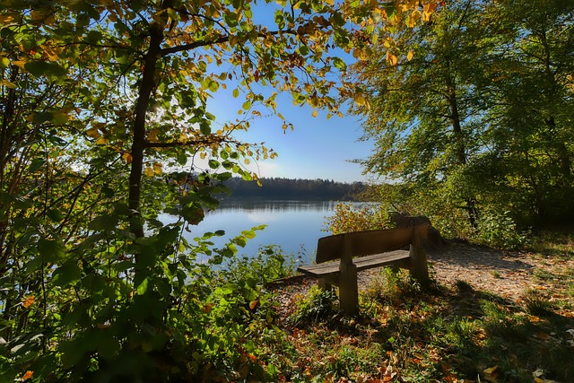 英格蘭球員 英格蘭球員